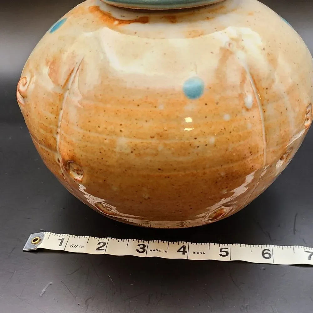 Will and Johanna DeMay Pottery Rare Buffalo Canister Jar W Lid Southwest 7